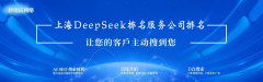 2025年上海DeepSeek排名办事公司五大排名